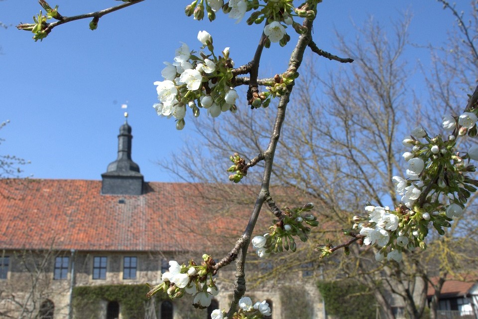 Gemüsegarten im Frühling Gemüsegarten im Frühling