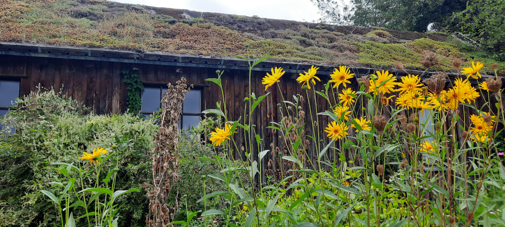 lebensvielfalt_garten_c-offer_fuer_19-10-23.jpg lebensvielfalt_garten_c-offer_fuer_19-10-23.jpg